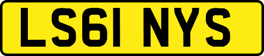 LS61NYS