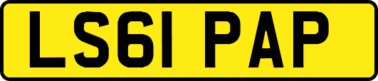 LS61PAP