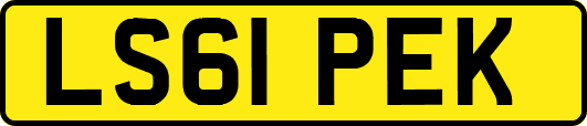 LS61PEK