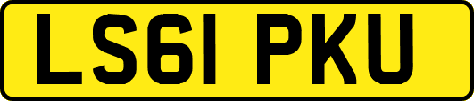 LS61PKU
