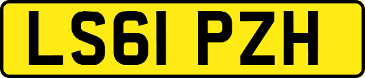 LS61PZH