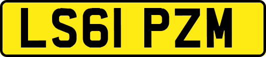 LS61PZM