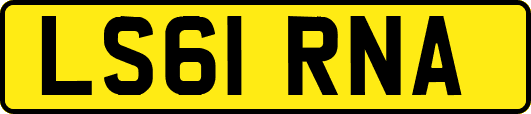 LS61RNA