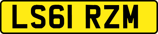 LS61RZM