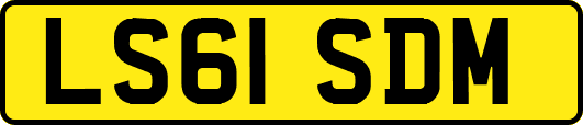 LS61SDM