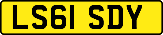 LS61SDY