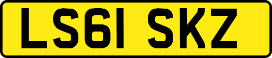 LS61SKZ