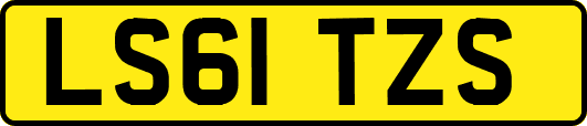 LS61TZS
