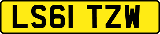 LS61TZW