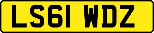 LS61WDZ