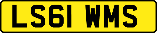 LS61WMS
