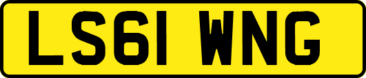 LS61WNG