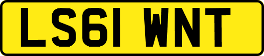 LS61WNT