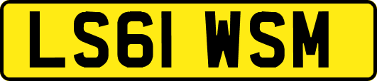 LS61WSM