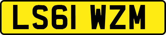 LS61WZM