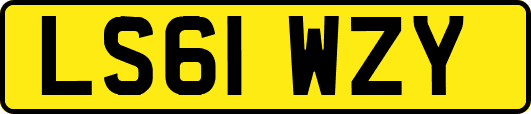 LS61WZY