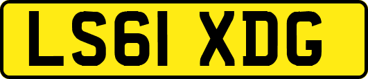 LS61XDG