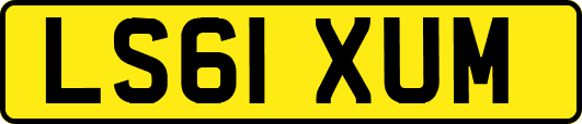 LS61XUM