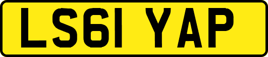 LS61YAP