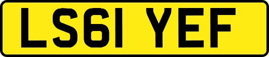 LS61YEF