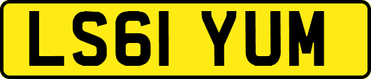 LS61YUM
