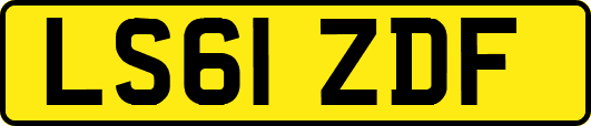LS61ZDF