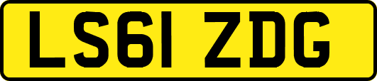 LS61ZDG