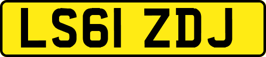LS61ZDJ