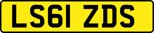LS61ZDS