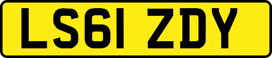 LS61ZDY