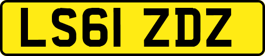 LS61ZDZ