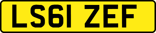 LS61ZEF
