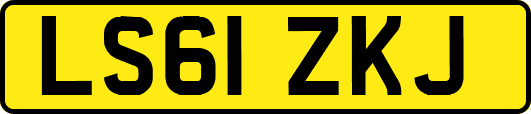LS61ZKJ