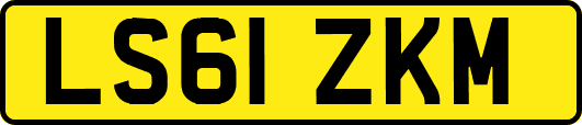 LS61ZKM