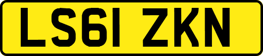 LS61ZKN