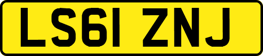 LS61ZNJ