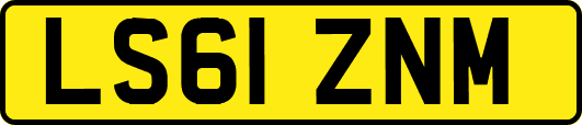 LS61ZNM