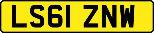LS61ZNW