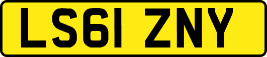 LS61ZNY
