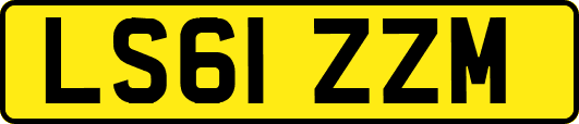 LS61ZZM