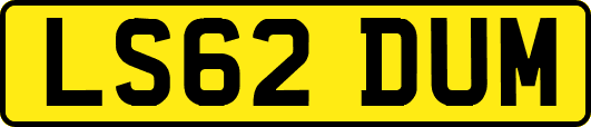 LS62DUM