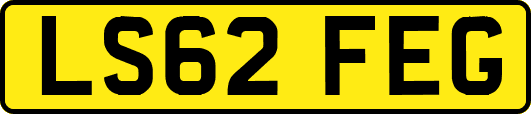 LS62FEG