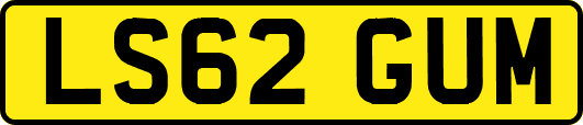 LS62GUM