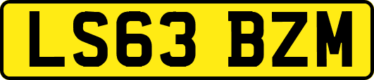 LS63BZM
