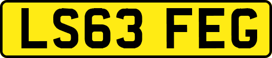 LS63FEG