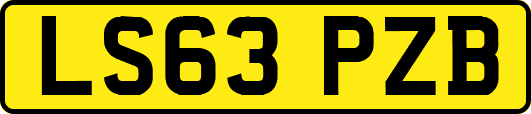 LS63PZB