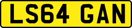 LS64GAN