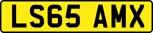 LS65AMX