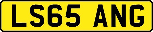 LS65ANG