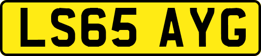 LS65AYG